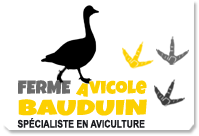 Ferme avicole Bauduin